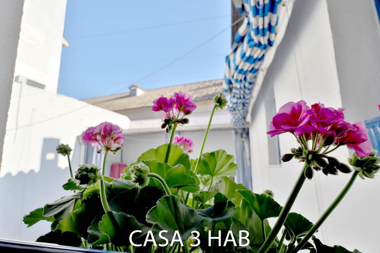 Casas Caballerizas Mezquita 1 Y 3 Hab قرطبة المظهر الخارجي الصورة
